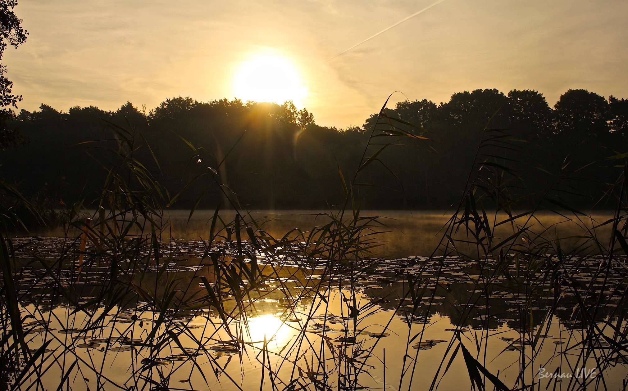 Hallo und guten Morgen aus Bernau bei Berlin 17 Hallo und guten Morgen aus Bernau