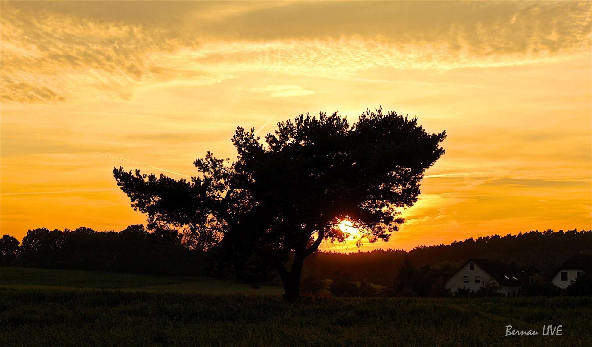 Bernau: Das war das Wochenende - habt einen schönen Abend! 5 Das war das Wochenende - habt einen schönen Abend