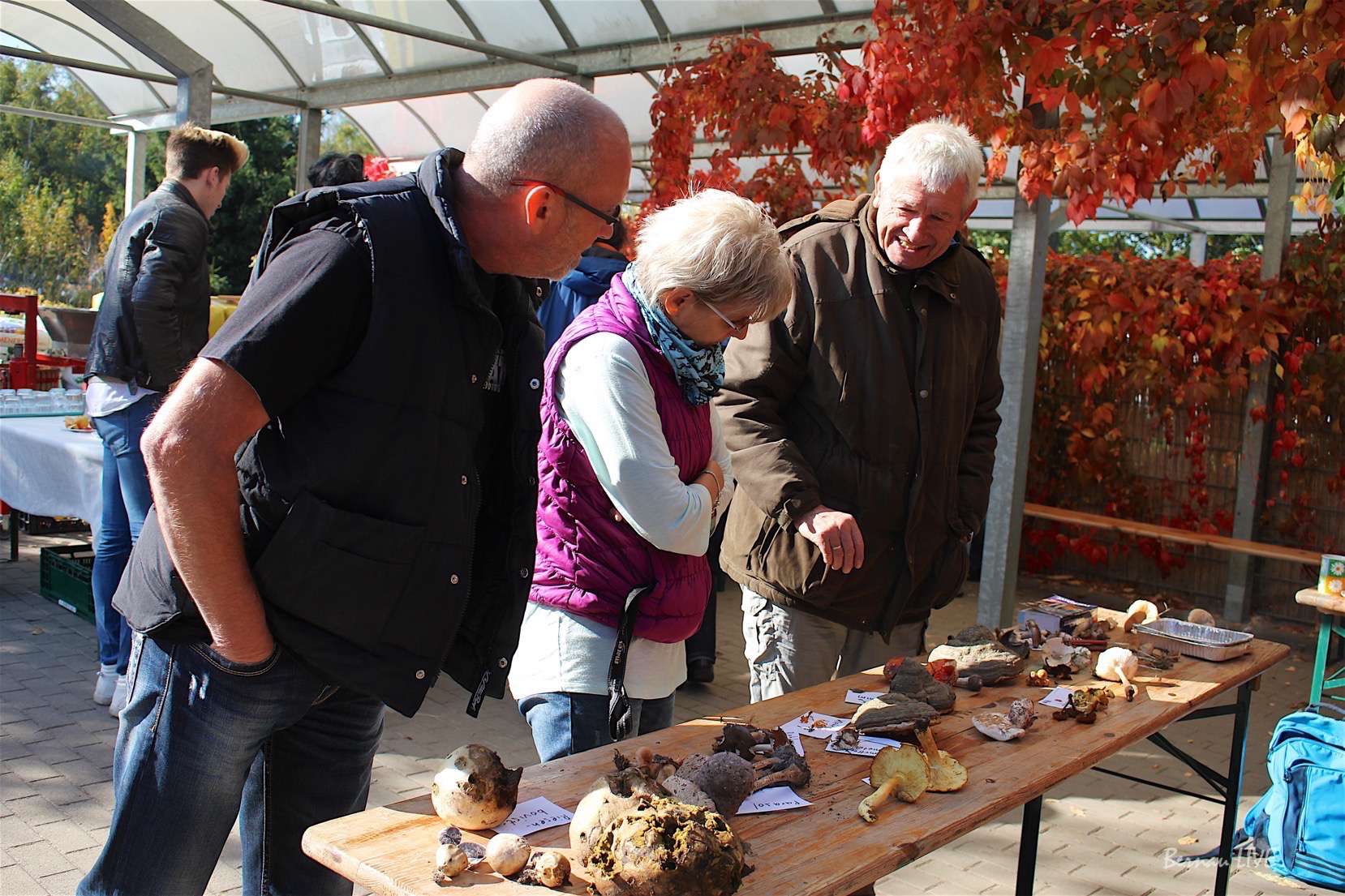 Obst, Pflanzen und Lobetaler BIO in Biesenthal 19 Obst, Pflanzen und Lobetaler BIO in Biesenthal