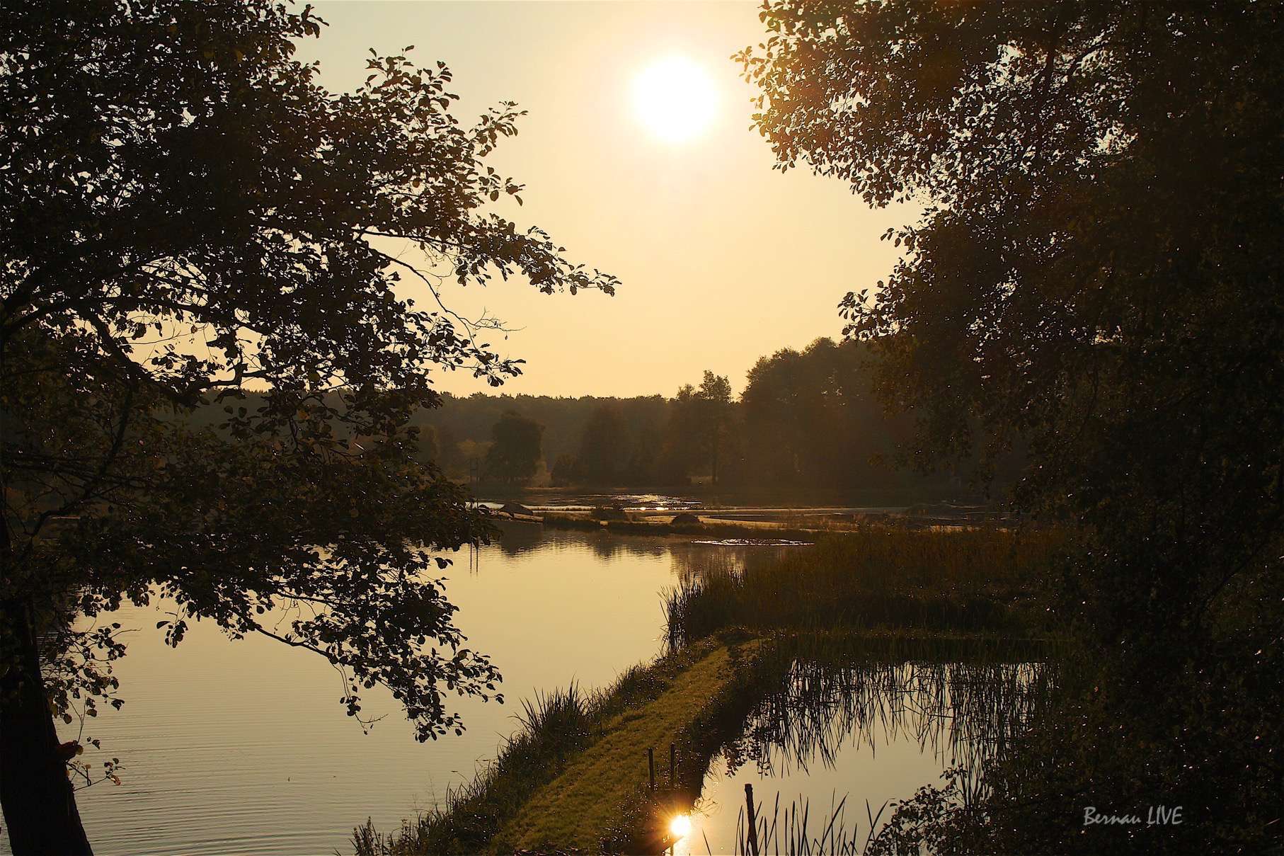 Barnim: Guten Morgen und willkommen in der neuen Woche 38 Barnim - Bernau: Guten Morgen und willkommen in der neuen Woche