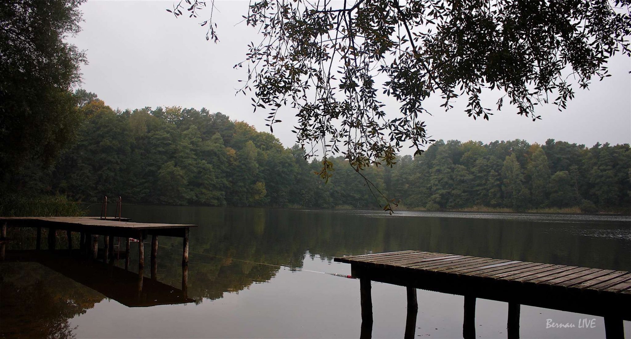 Bernau: Willkommen im herbstlich grauen Mittwoch 48 Bernau LIVE - Dein Stadtmagazin für Bernau bei Berlin