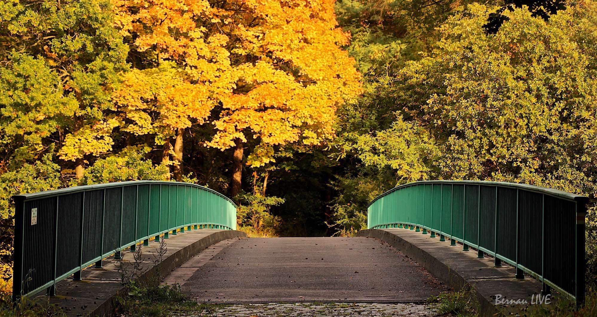 Bernau: Habt einen schönen Donnerstag - ein bisschen Zeitungskunde 29 Samstagmittag, guten Morgen und Euch ein schönes Wochenende