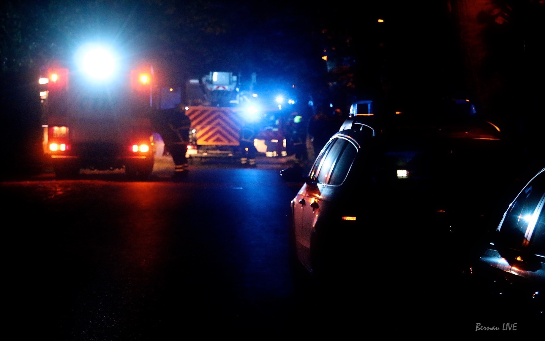 Werbellin: BAB11 - Schwerer Unfall - mehr als 110 Schweine verendet 44 Werebllin: BAB11 - Schwerer Unfall - mehr als 110 Schweine verendet