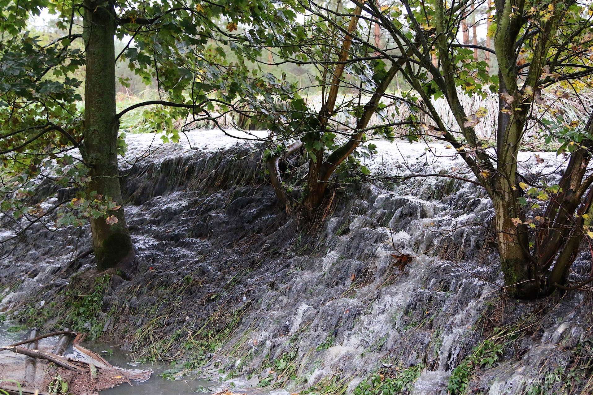 Bernau - Hobrechtsfelde: Das stinkt zum Himmel! 10 Bernau - Hobrechtsfelde: Das stinkt zum Himmel!