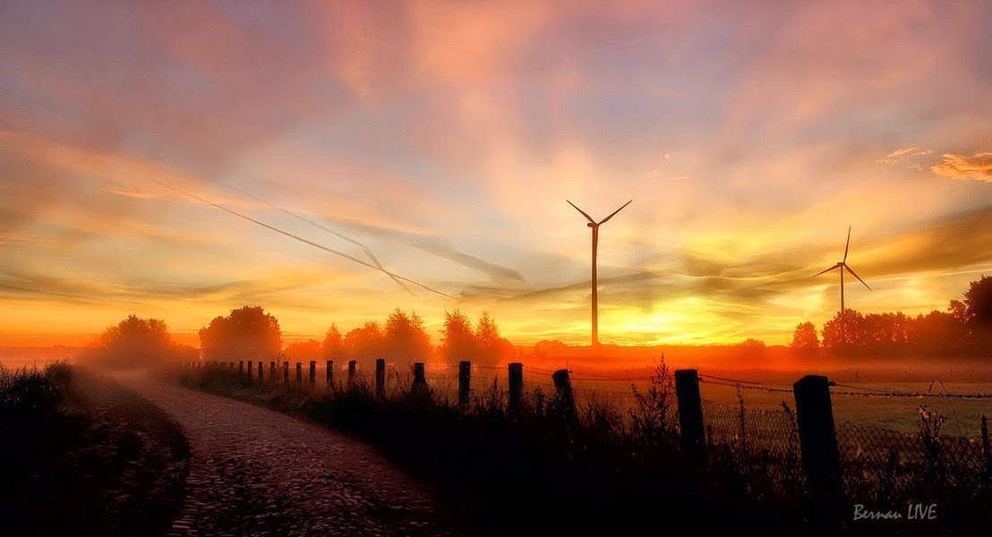 Barnim: Was für ein Ausblick - Guten Morgen! 41 Barnim: Was für ein Ausblick - Guten Morgen!