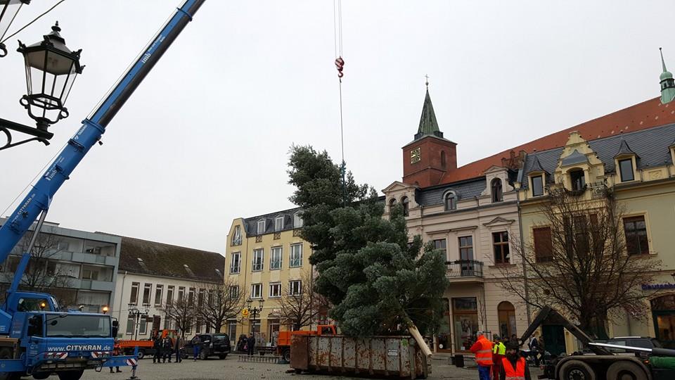 LIVE: Bernau bekommt seinen Weihnachtsbaum. Später mehr... 73 Weihnachtsbaum Bernau
