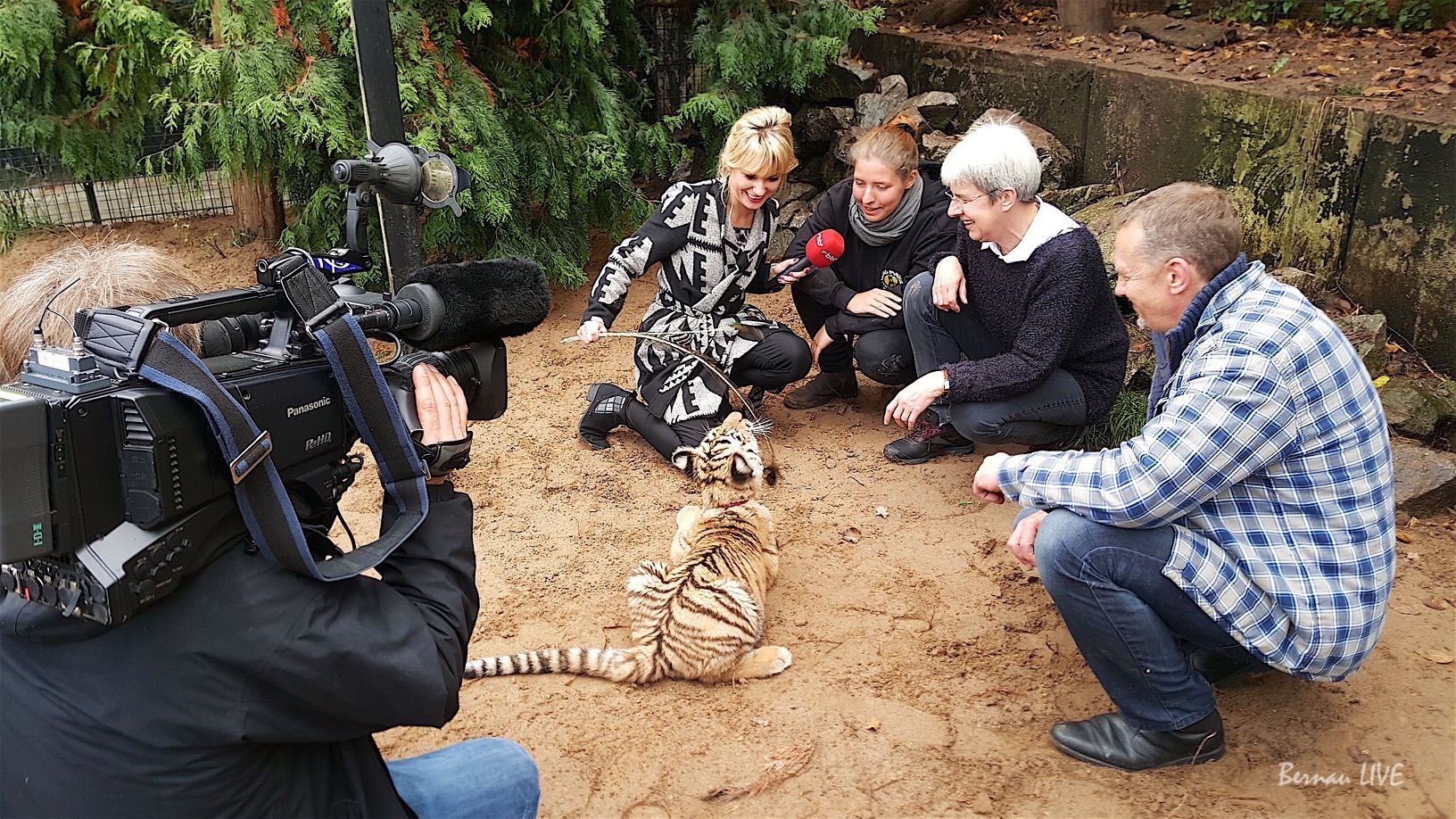 Mit dem RBB LIVE bei Findel-Tiger Diego in Tempelfelde 42 Bernau LIVE und RBB bei Tieger Diego