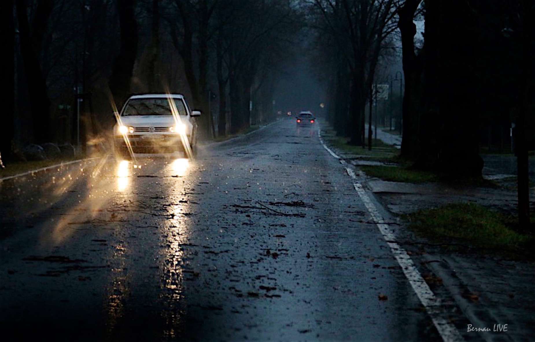 Panketal: Katze tot gefahren - gebremst und einfach liegen gelassen 22 Wildunfall - Panketal