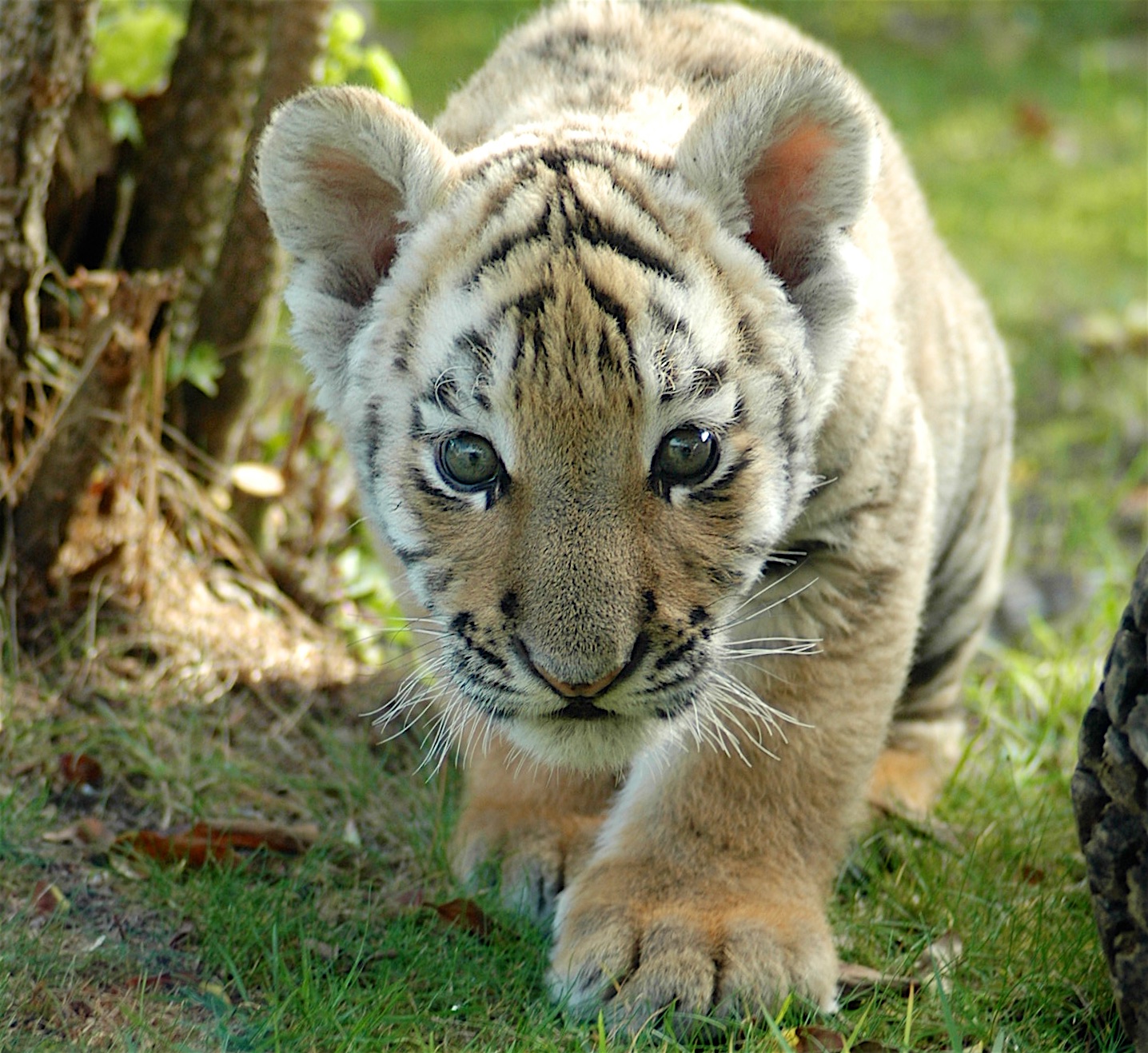 Willkommen im Wochenende - unsere Veranstaltungstipps 44 Barnim - Bernau: Unsere veranstaltungstipps fürs Wochenende