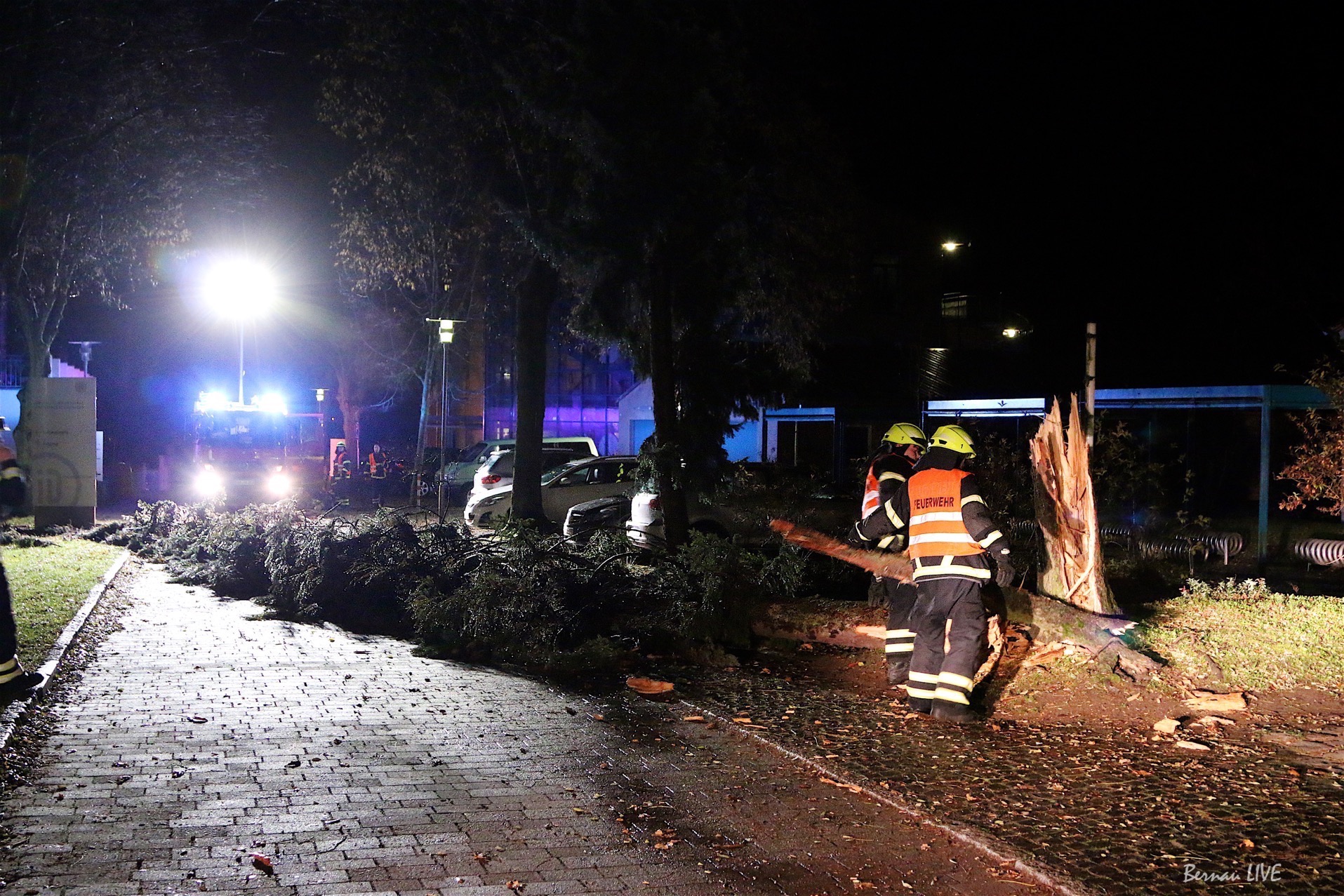 Sturmtief sorgte für zahlreiche Feuerwehreinsätze im Barnim 70 Barnim: Sturmtief sorgte für zahlreiche Feuerwehreinsätze in unserer Region