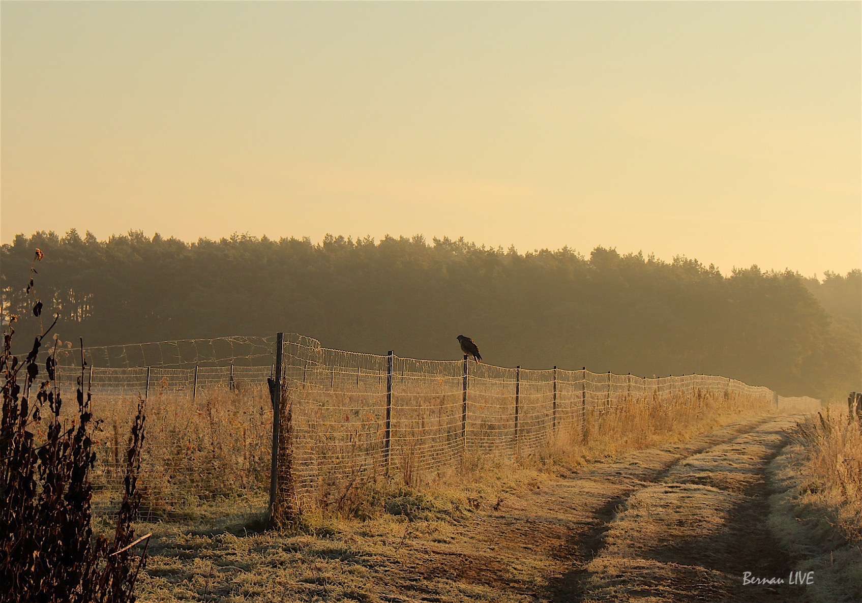 Barnim: Euch ein schönes Wochenende, wir sind dann auch mal da 16 Barnim: Euch ein schönes Wochenende! Wir sind dann auch mal da