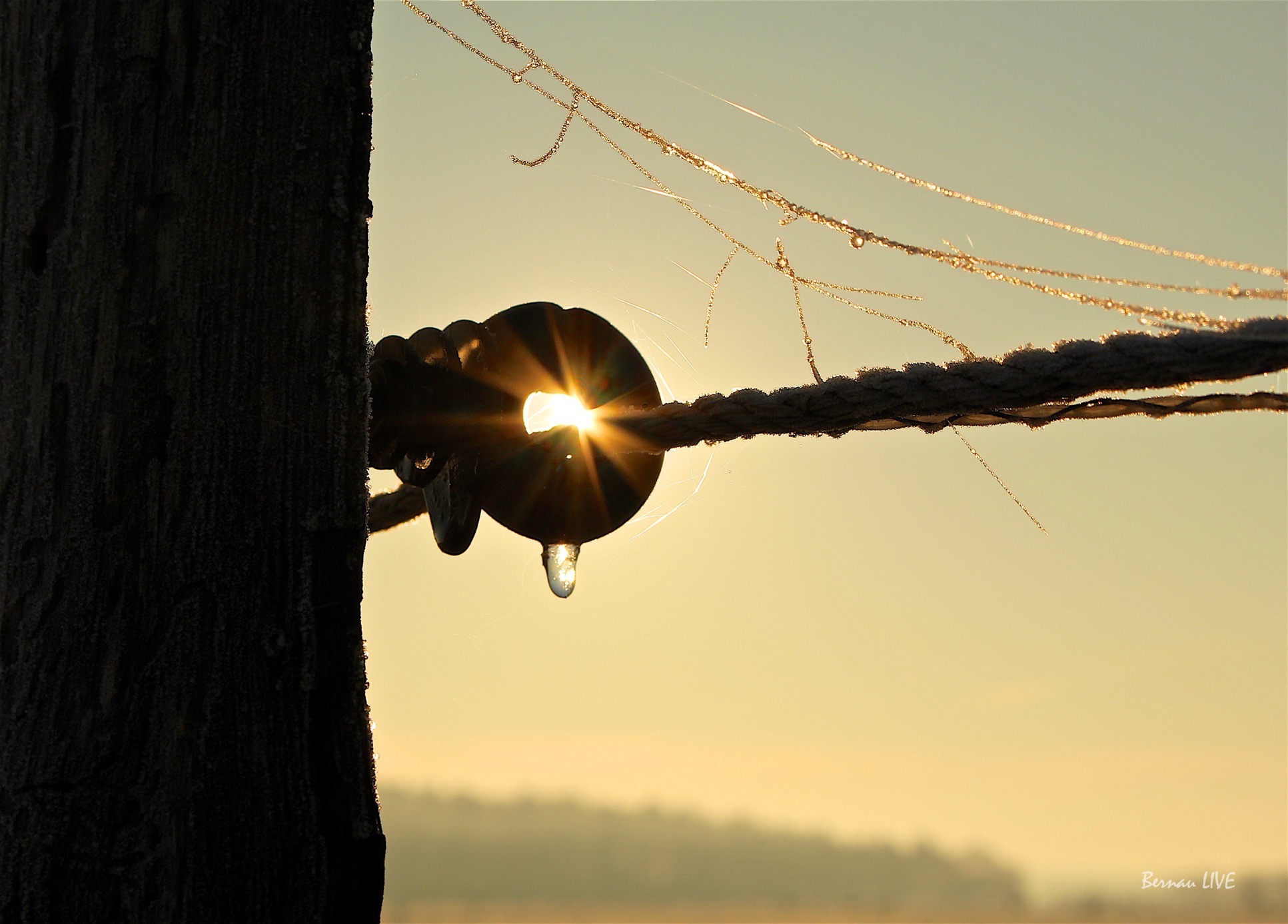 Frostig schön, leider mit Haverie der Stadtwerke Bernau 3 Frostig und mit Haverie der Stadtwerke Bernau in den heutigen Dienstag