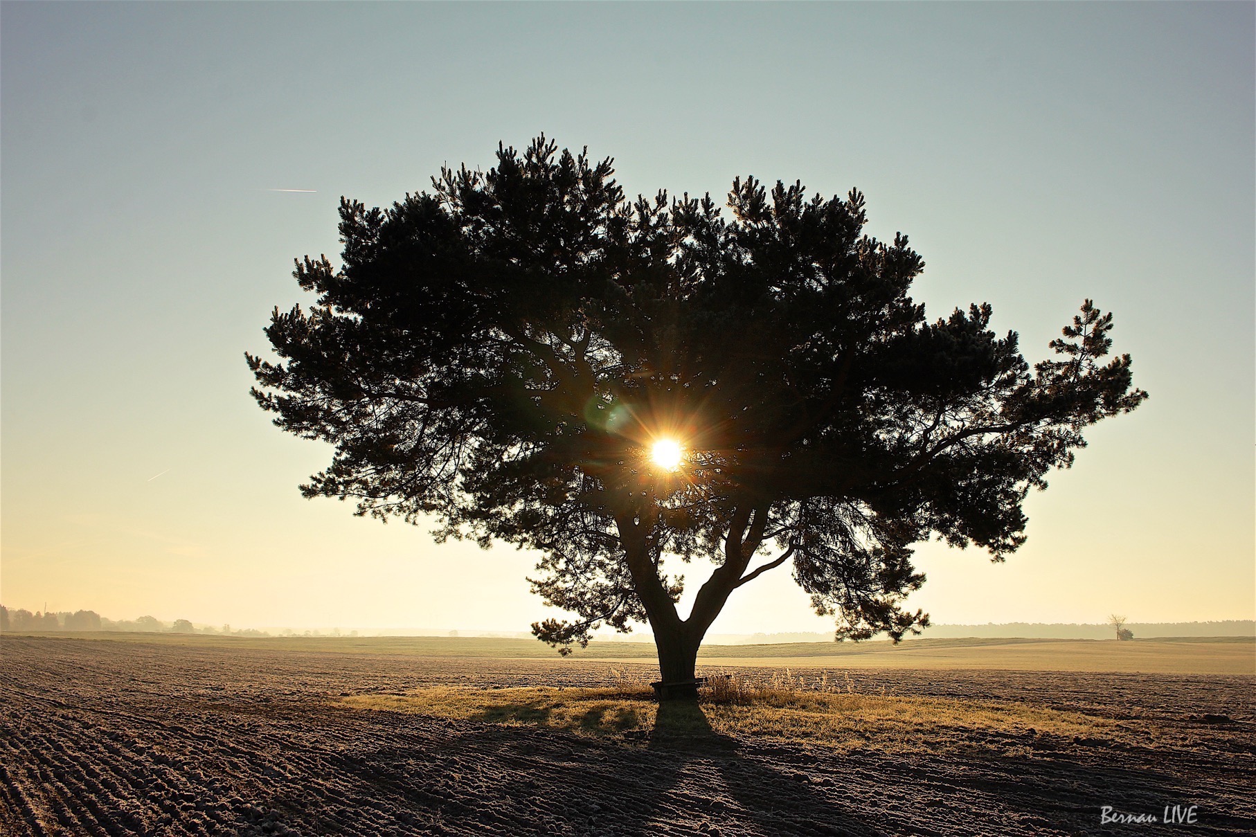 Barnim: Euch ein schönes Wochenende! Anbei einige Veranstaltungstipps 68 Barnim: Unsere Veranstaltungstipps