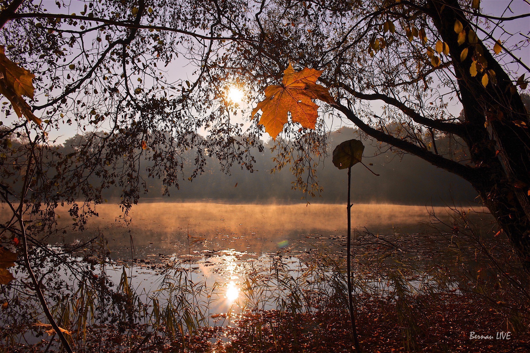 Bernau LIVE - Guten Morgen, zusammen! 49 Bernau - Barnim: Guten Morgen und willkommen im Oktober
