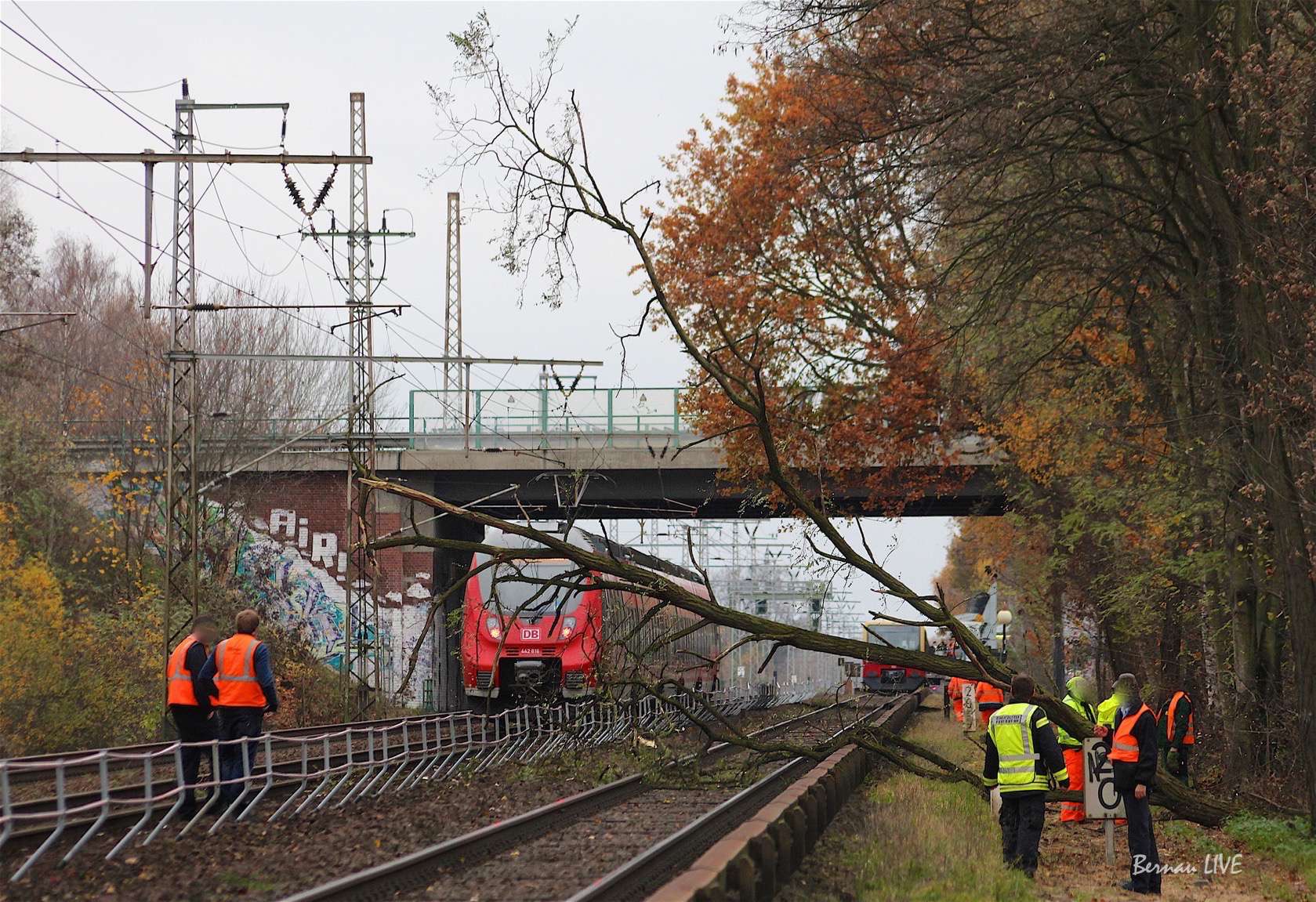 Bernau: Umgestürzter Baum sorgte für Chaos im Bahnverkehr 5 Bernau: Umgestürzter Baum sorgte für Chaos im Bahnverkehr