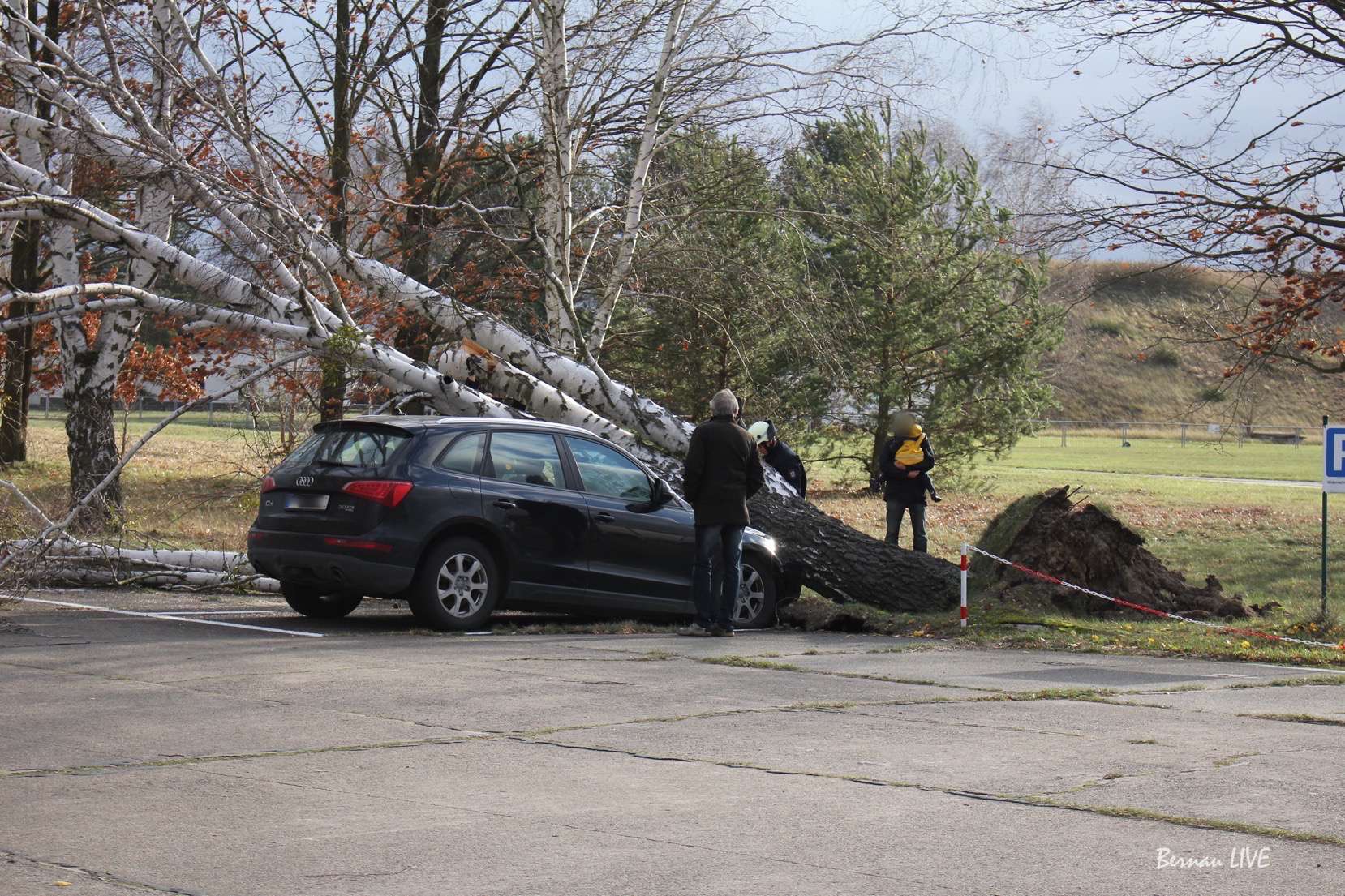 Barnim: Sturmtief "Frank" hielt Feuerwehren in Atem 31 Barnim: Sturmtief "Frank" hielt Feuerwehren in Atem
