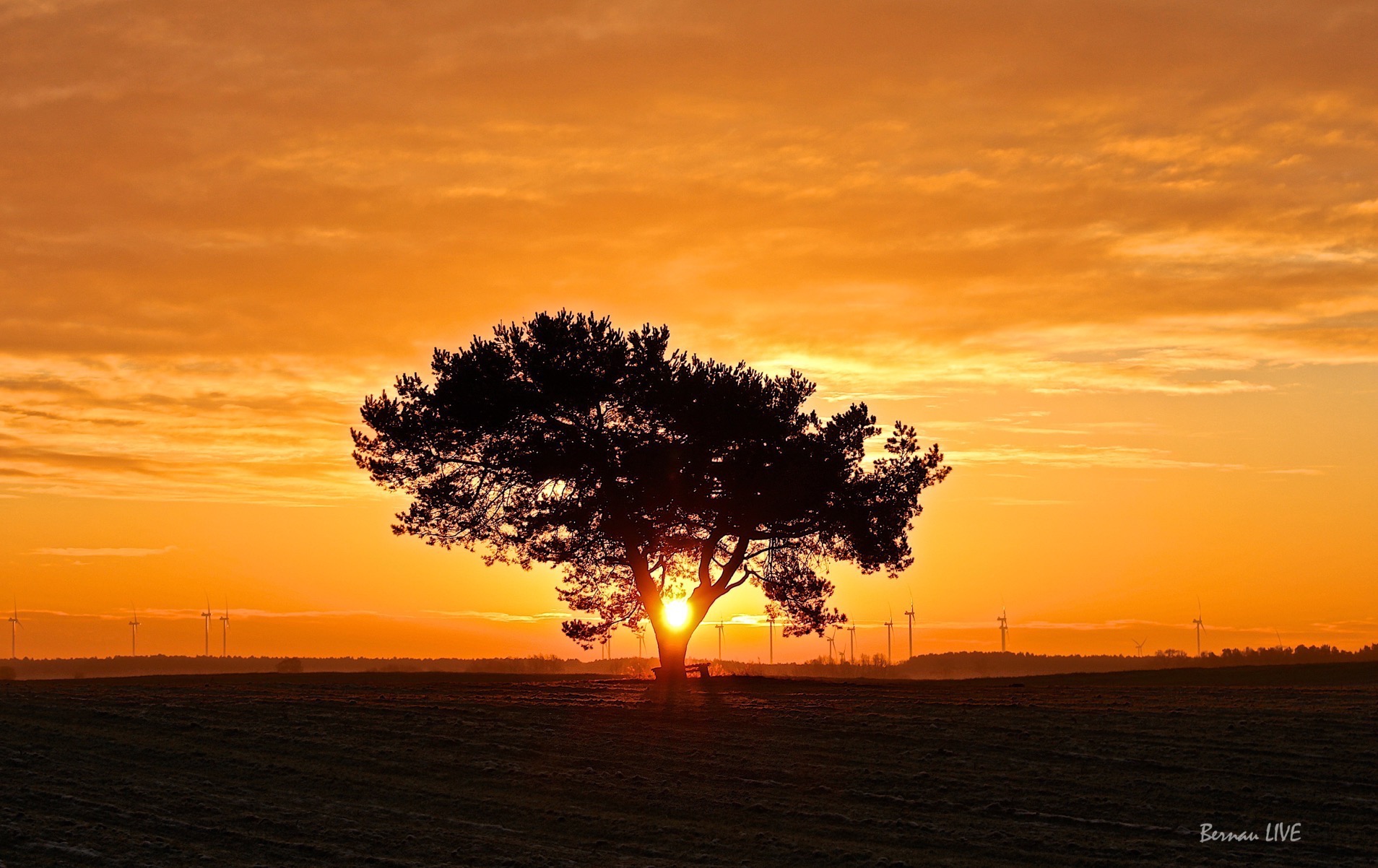 Guten Morgen aus Lobetal - Alle guten Dinge sind Drei! 29 Lobetal - Bernau: Guten Morgen - Alle guten Dinge sind 3