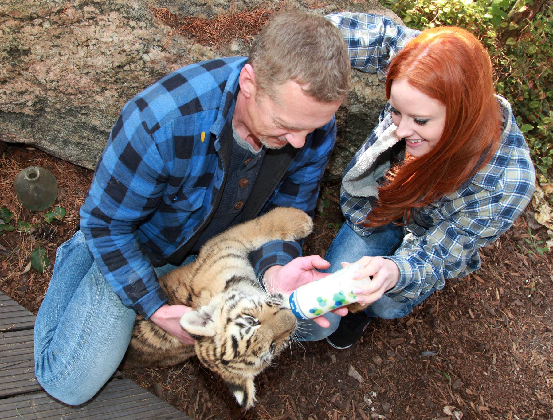 Top-Model Barbara Meier wird Taufpatin von Findel-Tiger DIEGO 30 Tiger DIEGO mit Top Model Barbara Meier