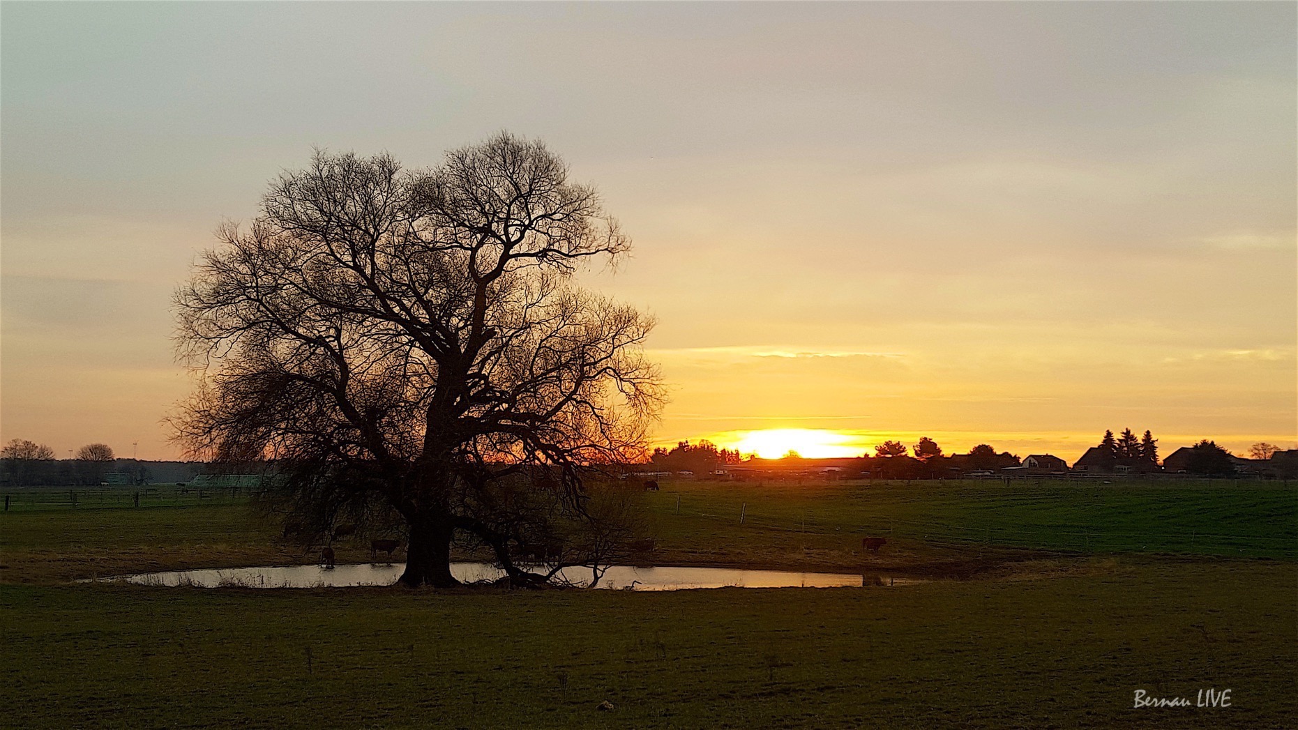 Guten Morgen, gleich ist Wochenende 30 Bernau: Mit Sonnenpause in die neue Woche, guten Morgen