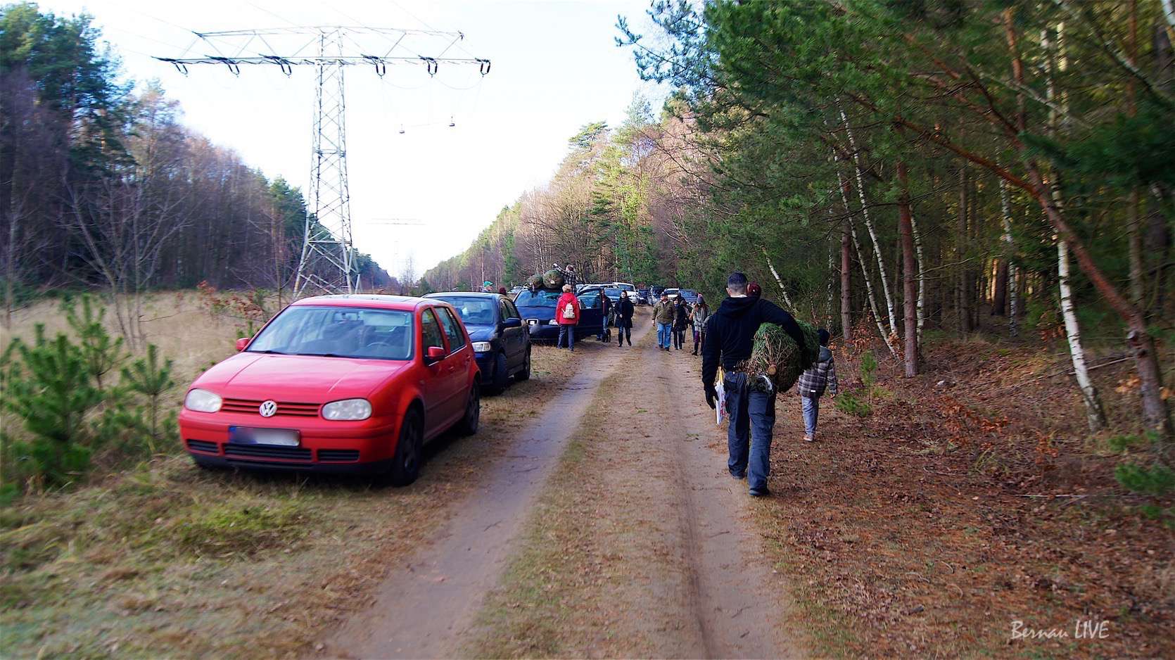 Bernau: Mit Axt und Säge in den Bernauer Stadtwald 9 Bernau: Mit Axt und Säge in den Bernauer Stadtwald