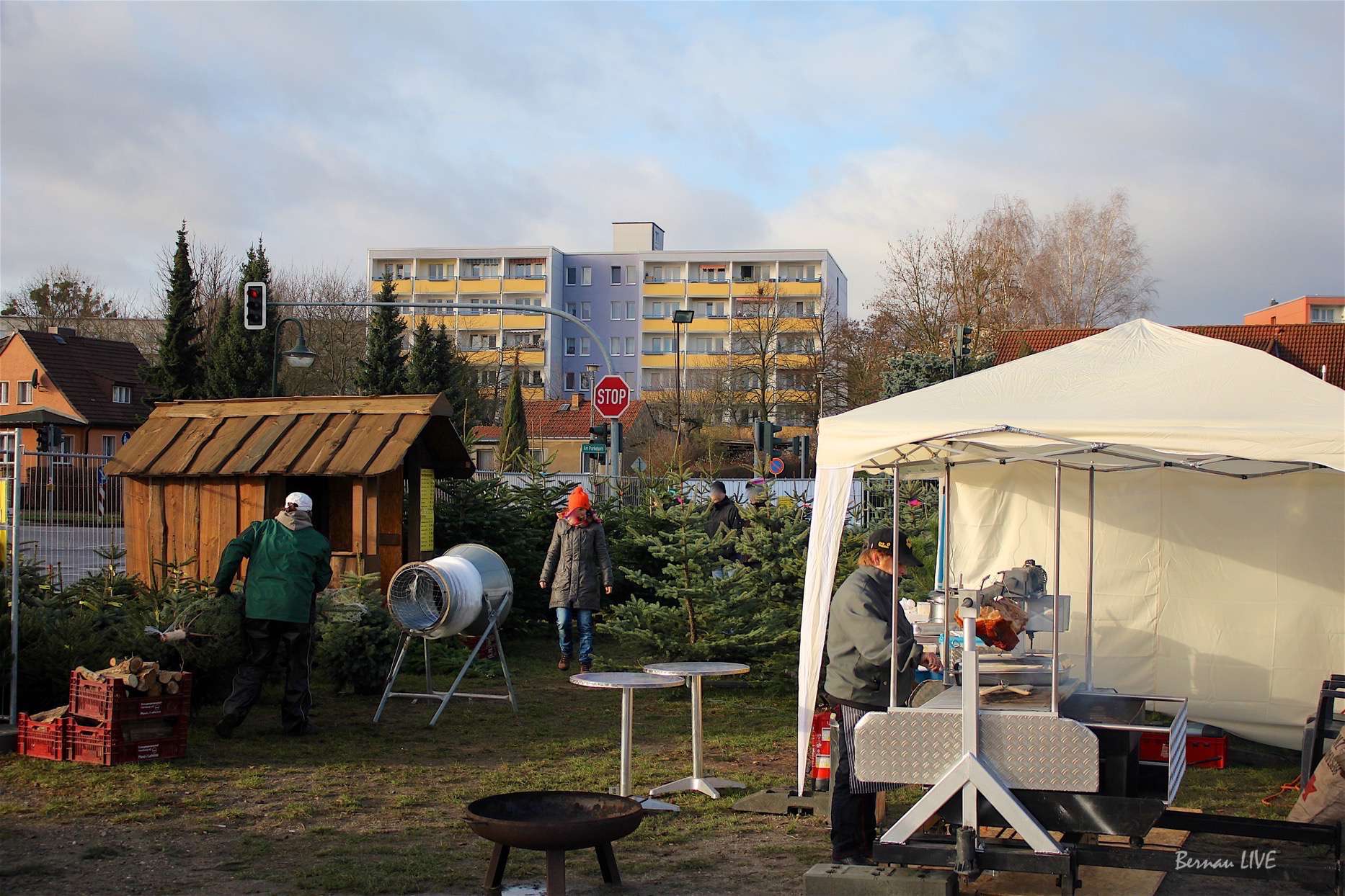Diesel 99 Cent, tolle Weihnachtsbäume und leckeres vom Grill 6 Weihnachtsbäume in Bernau