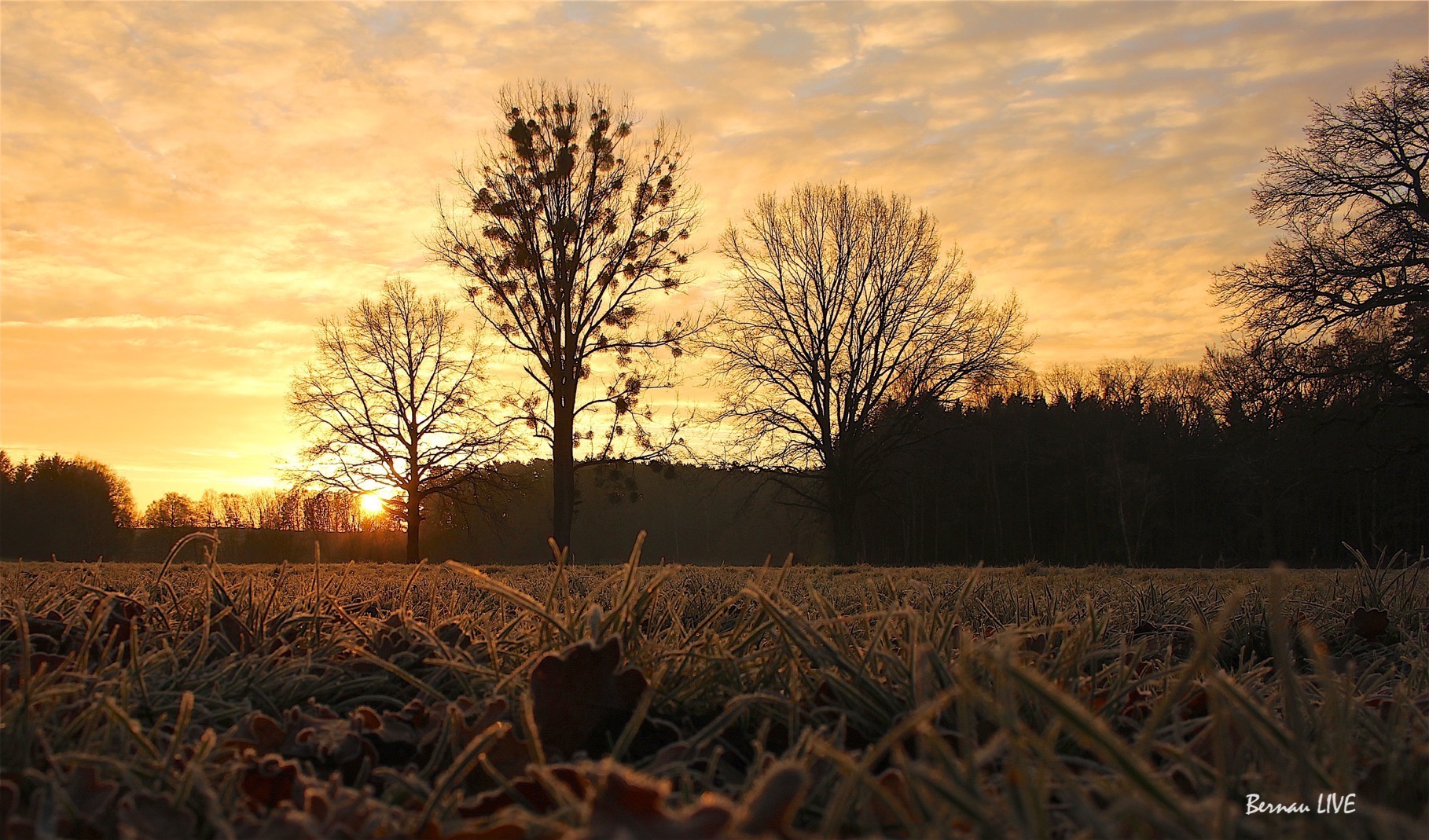 Barnim: Schön, aber mit Scheiben Kratzen war echt blöd 55 Barnim - Bernau -Sonnenaufgang