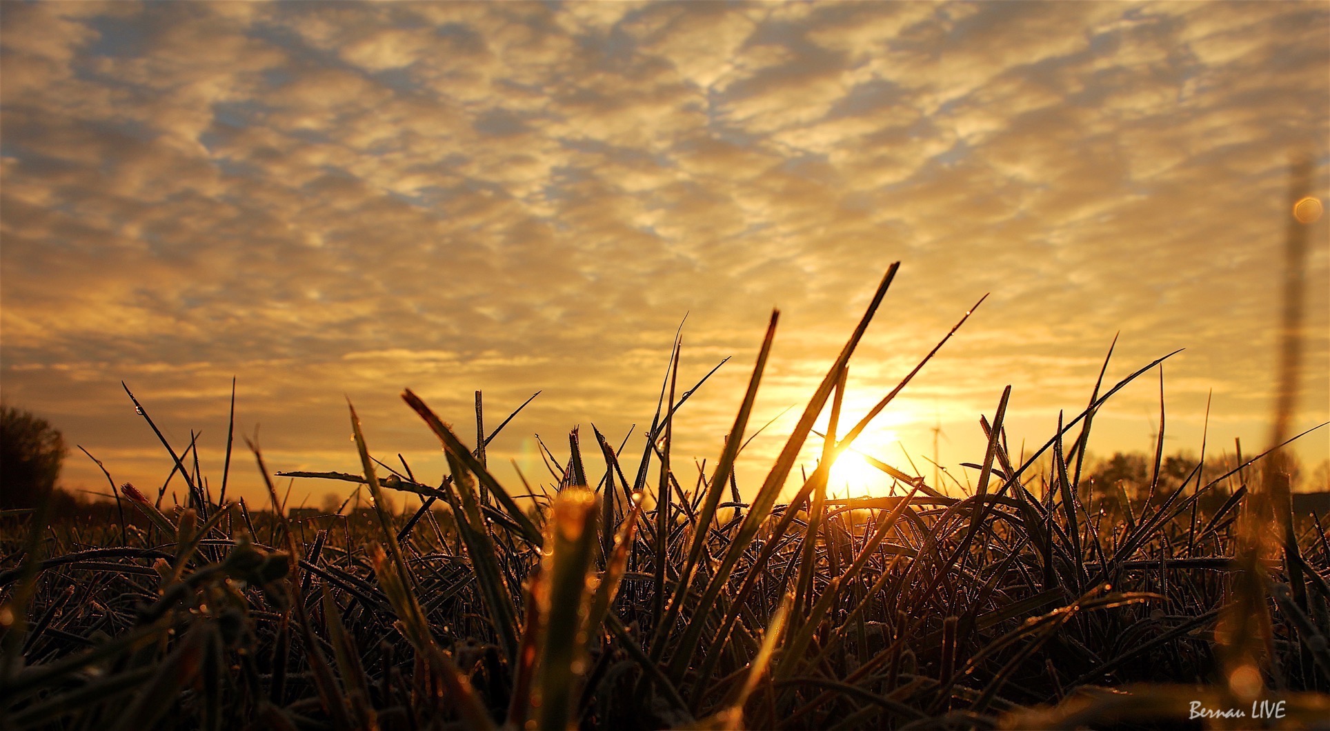 Bernau: Noch einen Tag bis Weihnachten - guten Morgen! 59 Bernau - Sonnenaufgang