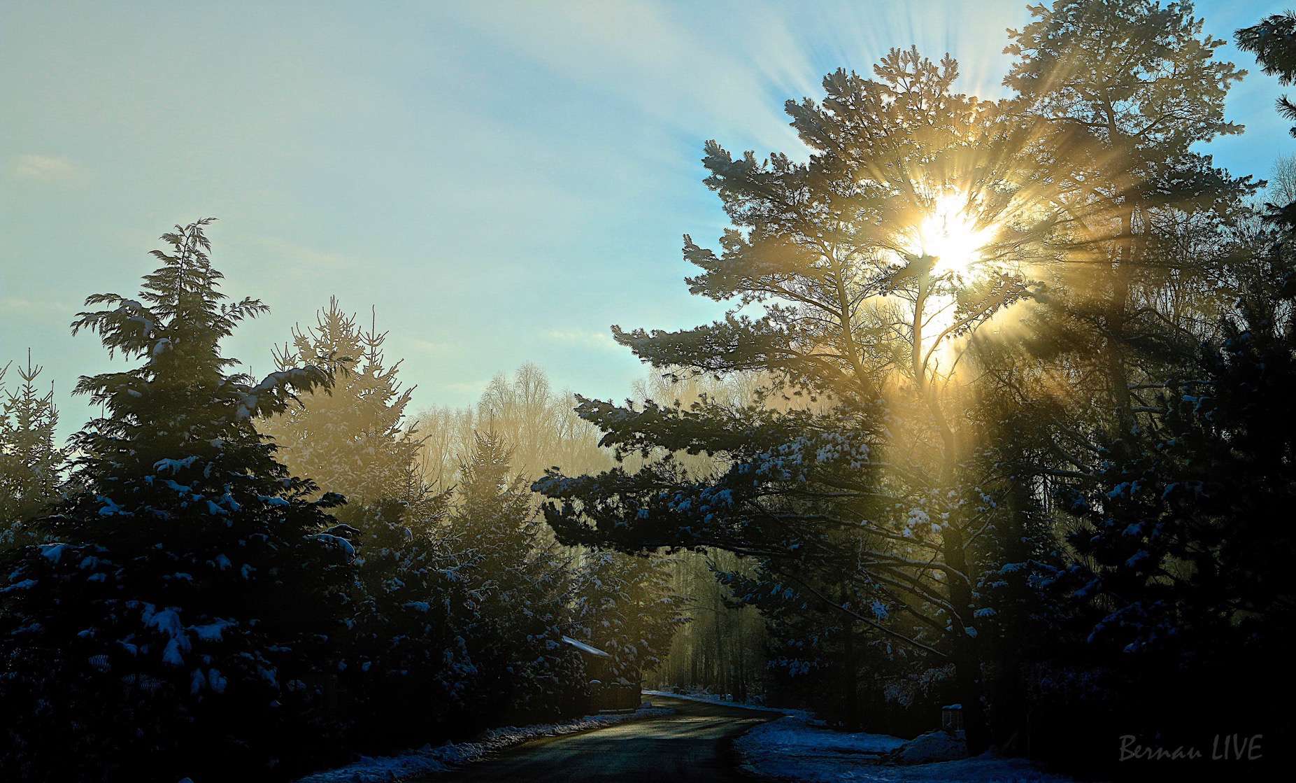 Guten Morgen - meteorologischer Winteranfang - Welt-Aids-Tag 62 Winteranfang BernauLIVE