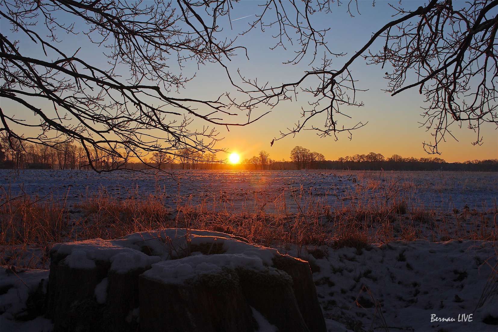 Bernau LIVE: Beinahe wäre ich erfroren - Guten Morgen 76 Bernau LIVE: Beinahe wäre ich erfroren - Guten Morgen