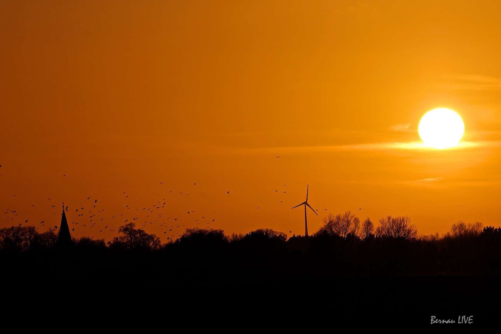 Bernau - Schönow: Mit Sonnenuntergang in den Feierabend 17 Bernau: Mit Sonnenuntergang in den Feierabend - Foto: Bernau LIVE in Schönow