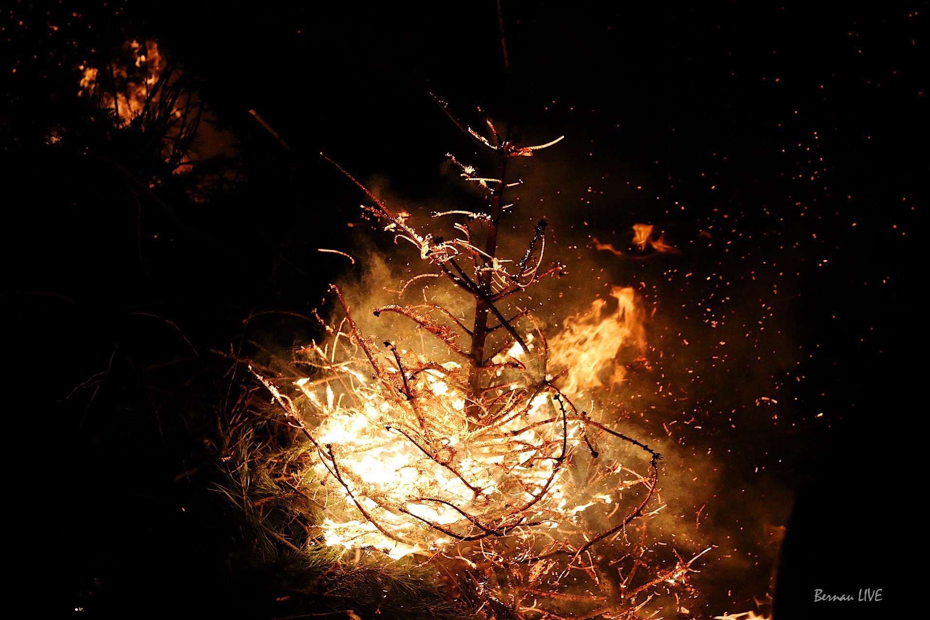 Rüdnitz verabschiedet sich von Weihnachten und Winter 13 Rüdnitz