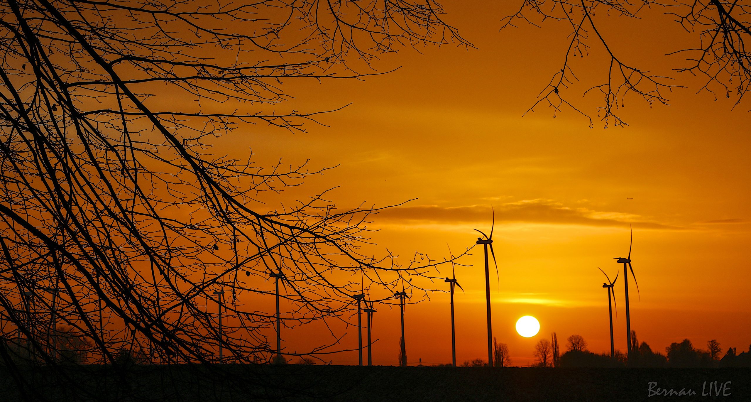 Bernau - Barnim: Heute ist Miesepetertag! Moin! 5 Sonnenaufgang in Bernau