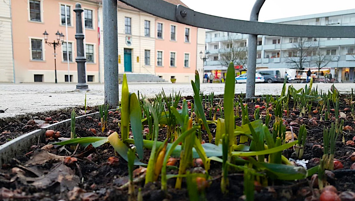 Bernau: Ein Hauch Frühling in unserer Stadt 6 Bernau: Ein Hauch Frühling in unserer Stadt - Habt einen schönen Feierabend!