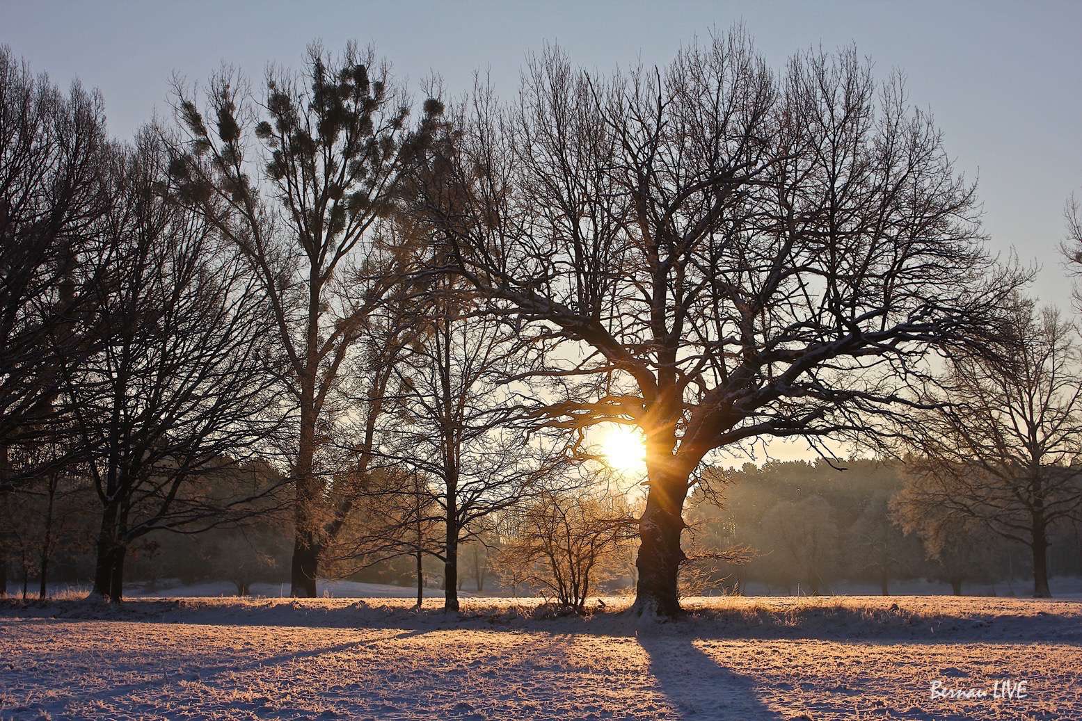 Bernau: Mit viel Sonne und Tacker in den Tag! 10 Mit viel Sonne und Tacker in den Tag!