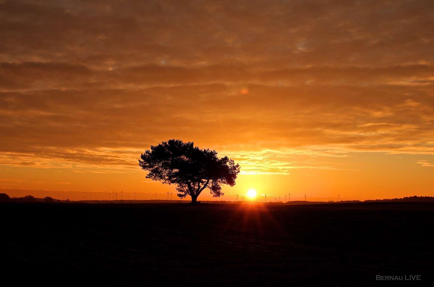 Bernau: Guten Morgen und einen schönen Start in den Mittwoch 10 Bernau: Guten Morgen und einen schönen Mittwoch