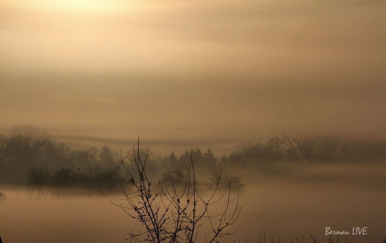 Bernau - Barnim: Guten Morgen im Nebel des Montags 25 Bernau: Moin und willkommen an diesem ereignisreichen Freitag