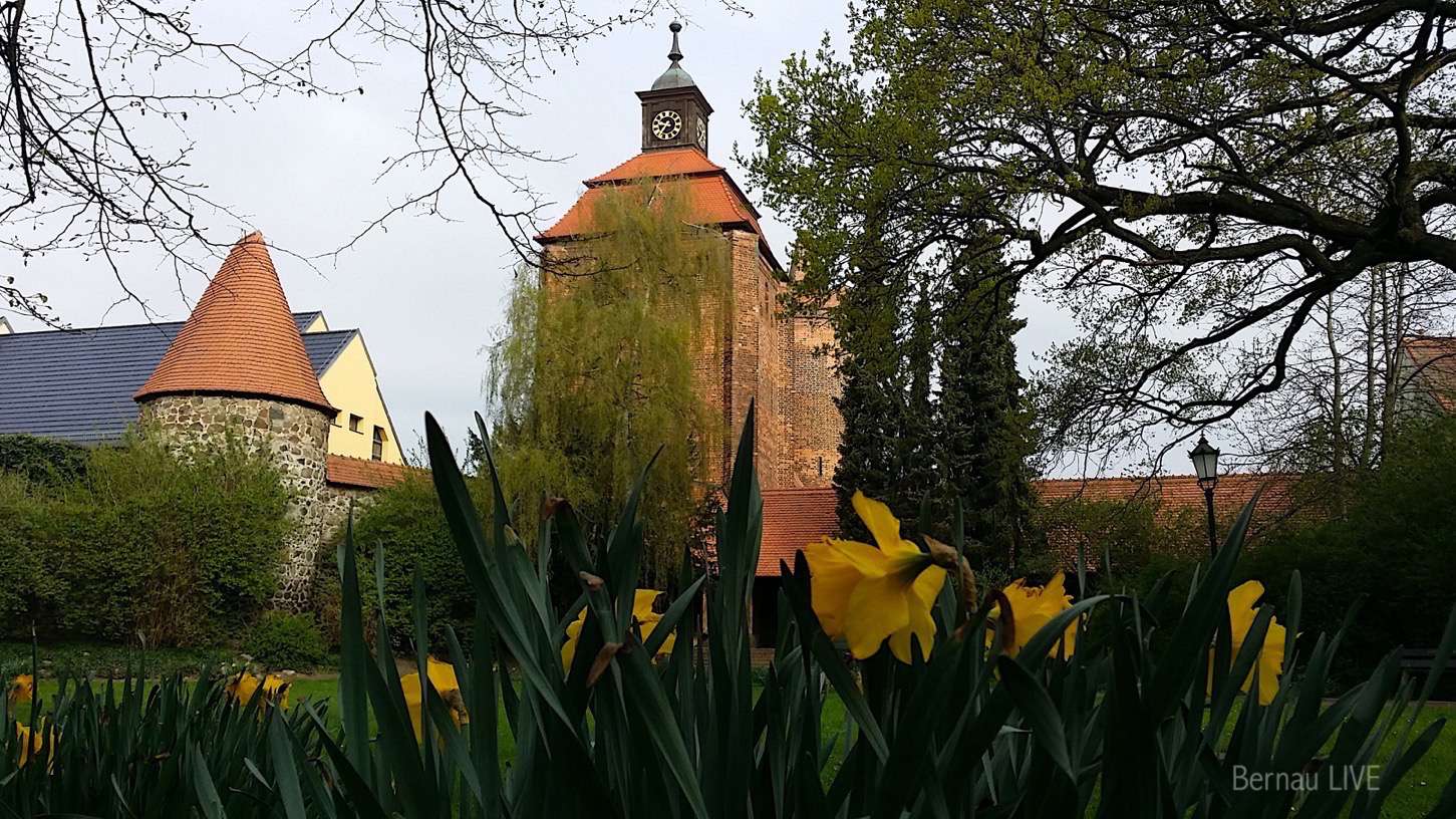 Guten Morgen, Ihr Bernau LIVE Kieker - Weltwassertag! 6 Bernau - Frühling am Steintor - Külzpark