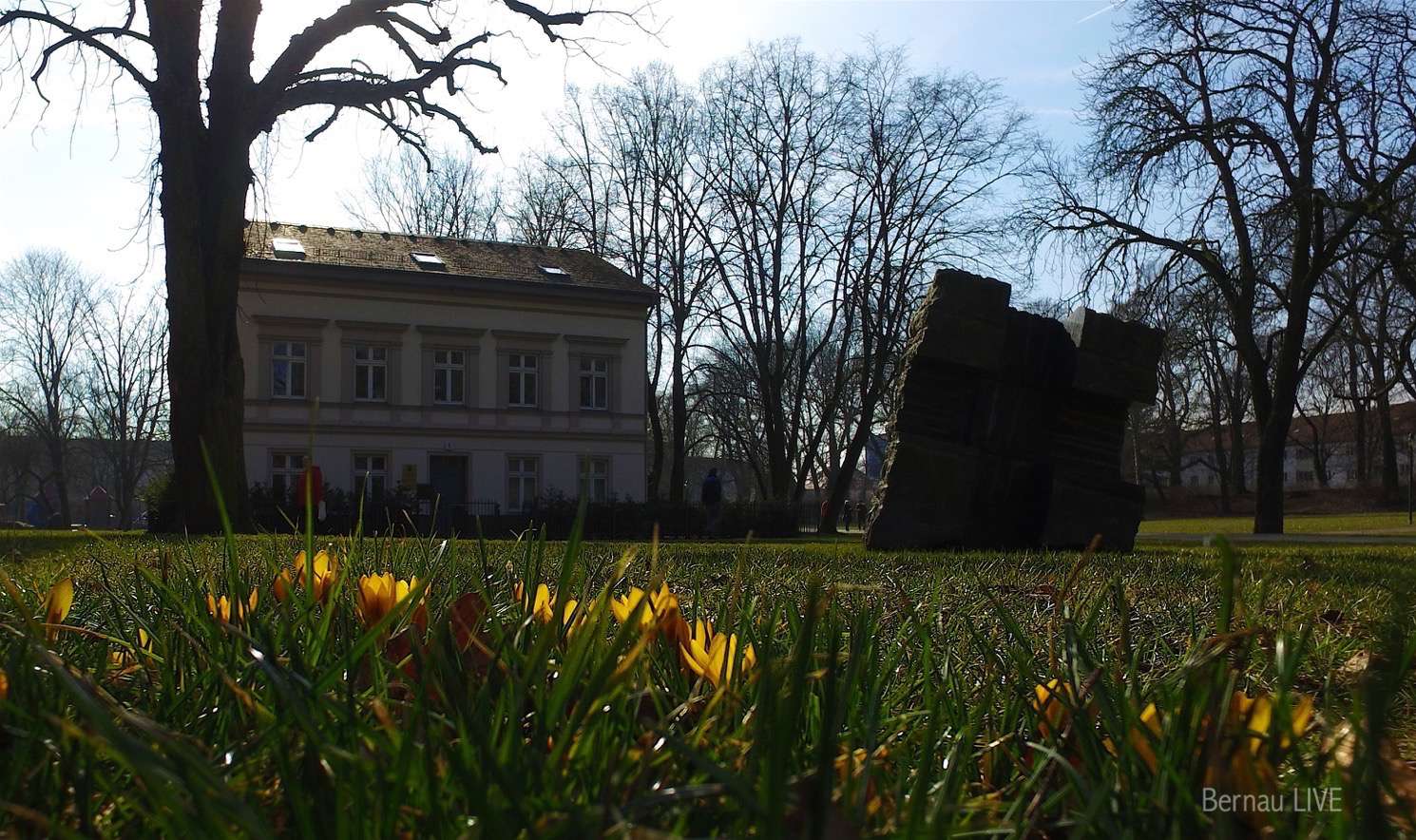 Guten Morgen - und die Welt leuchtet heute Grün 5 Euch ein schönes Wochenende in Bernau und Drumherum