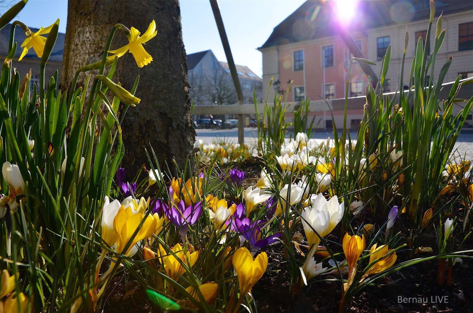Bernau: Frühlingsanfang, Glücksgefühle, Veranstaltungstipps 23 Bernau - Früühlingsanfang