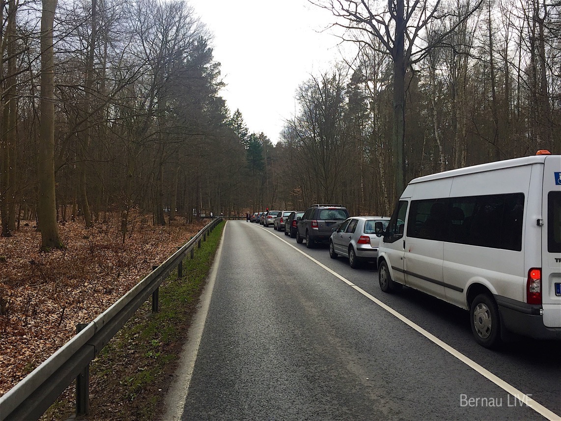 Baumfällarbeiten sorgten für Stau um Spechthausen 11 Stau - Baumfällarbeiten Spechthausen