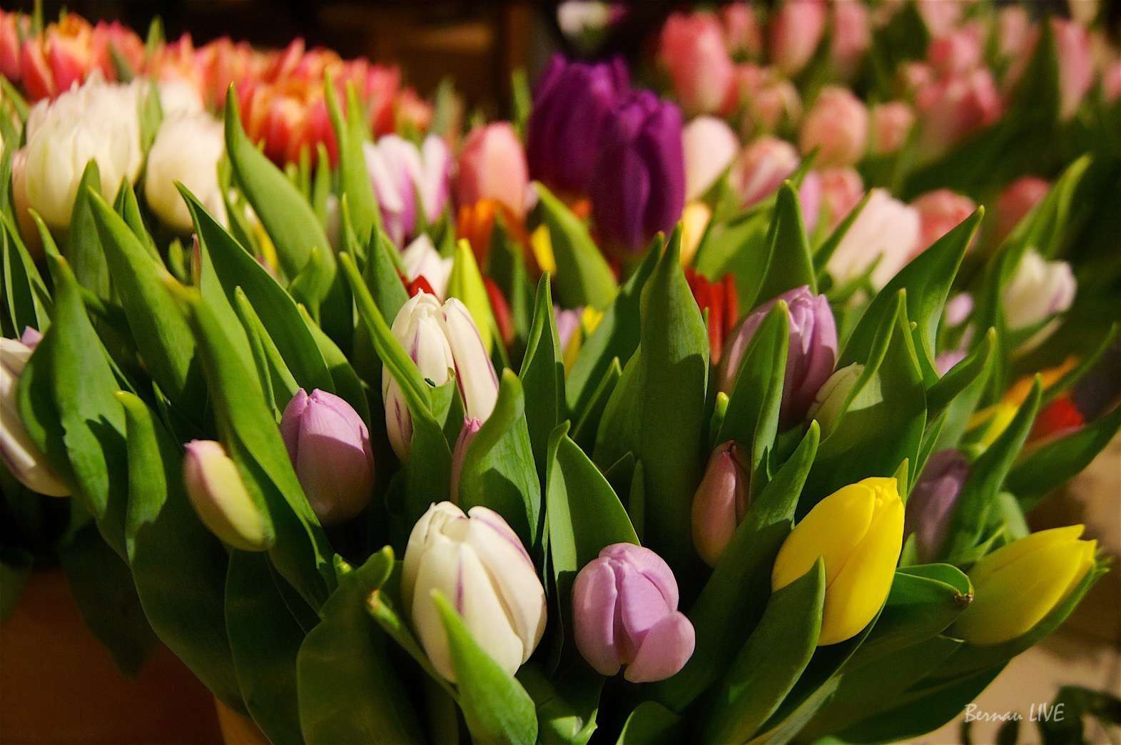 Das Wochenende steht vor der Tür - guten Morgen! 19 Bernau - Frauentag