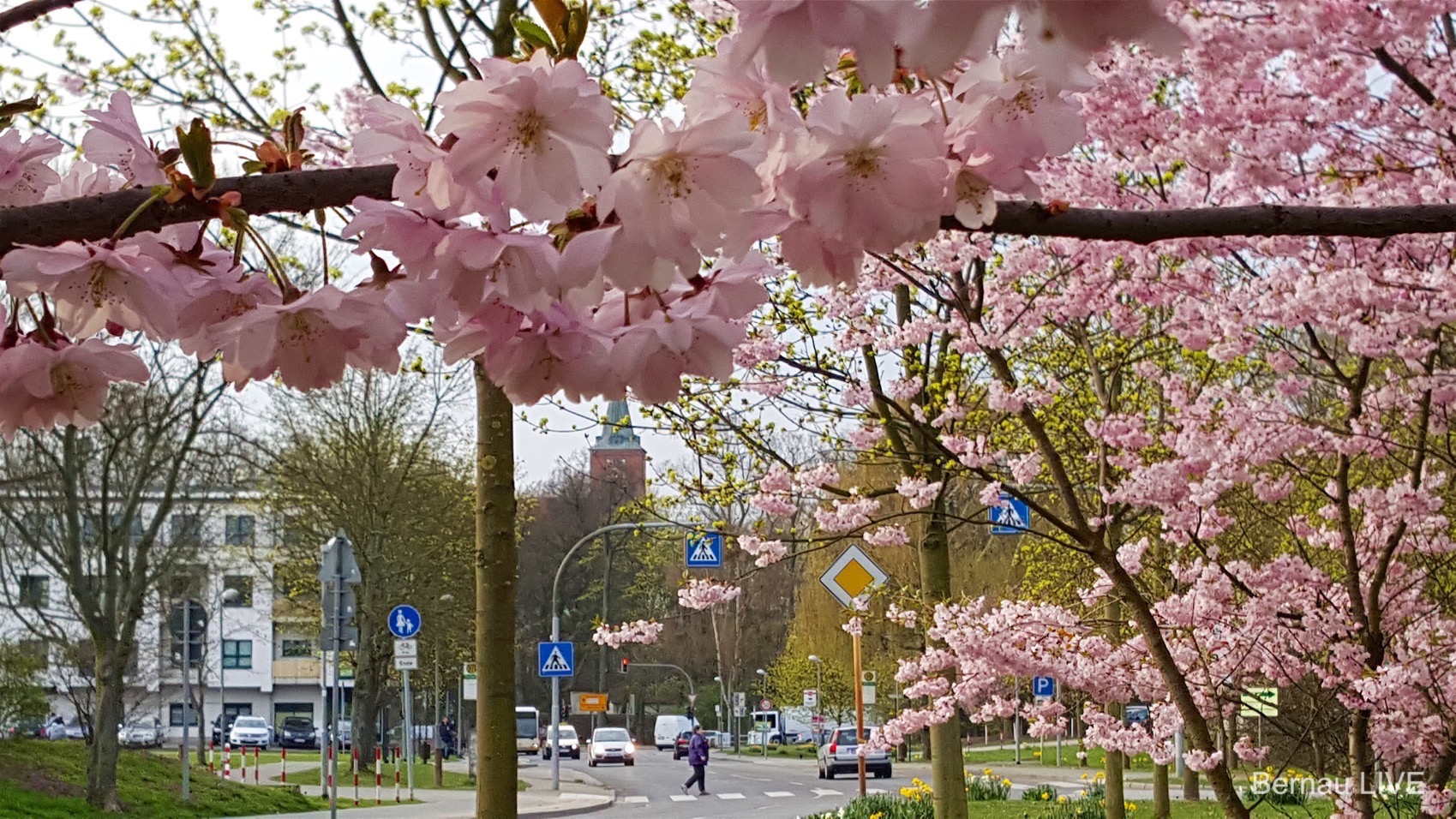 Guten Morgen und Erinnerungen an Rufzeichen MGY 15 Bernau: Frühling