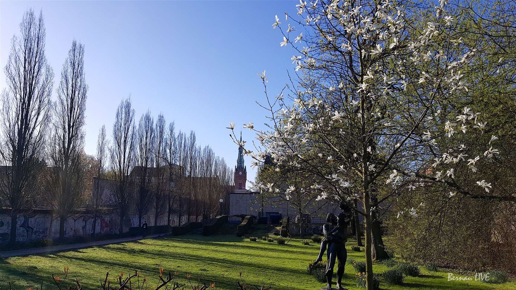 Bernau - Barnim: Willkommen in der neuen Woche 15 Frühling im Stadtpark Bernau