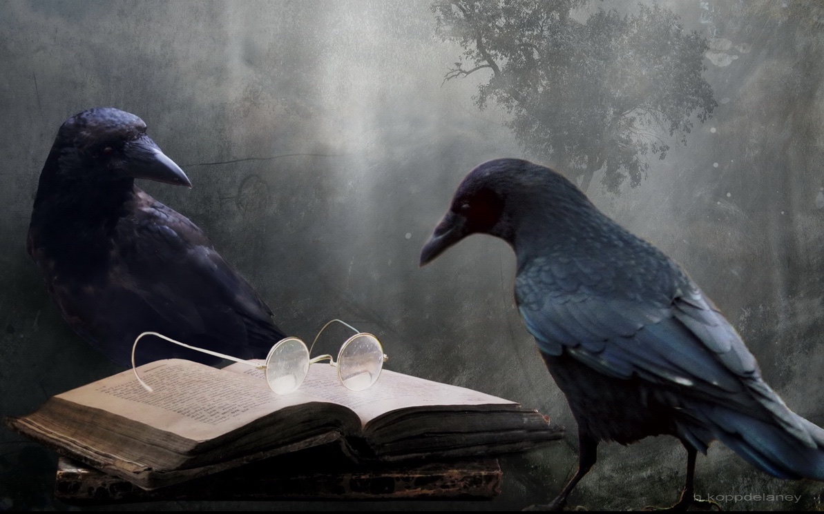 Grimm´sche Märchenwelt im Schattenwald von Eberswalde 12 Schattenwald in Eberswalde