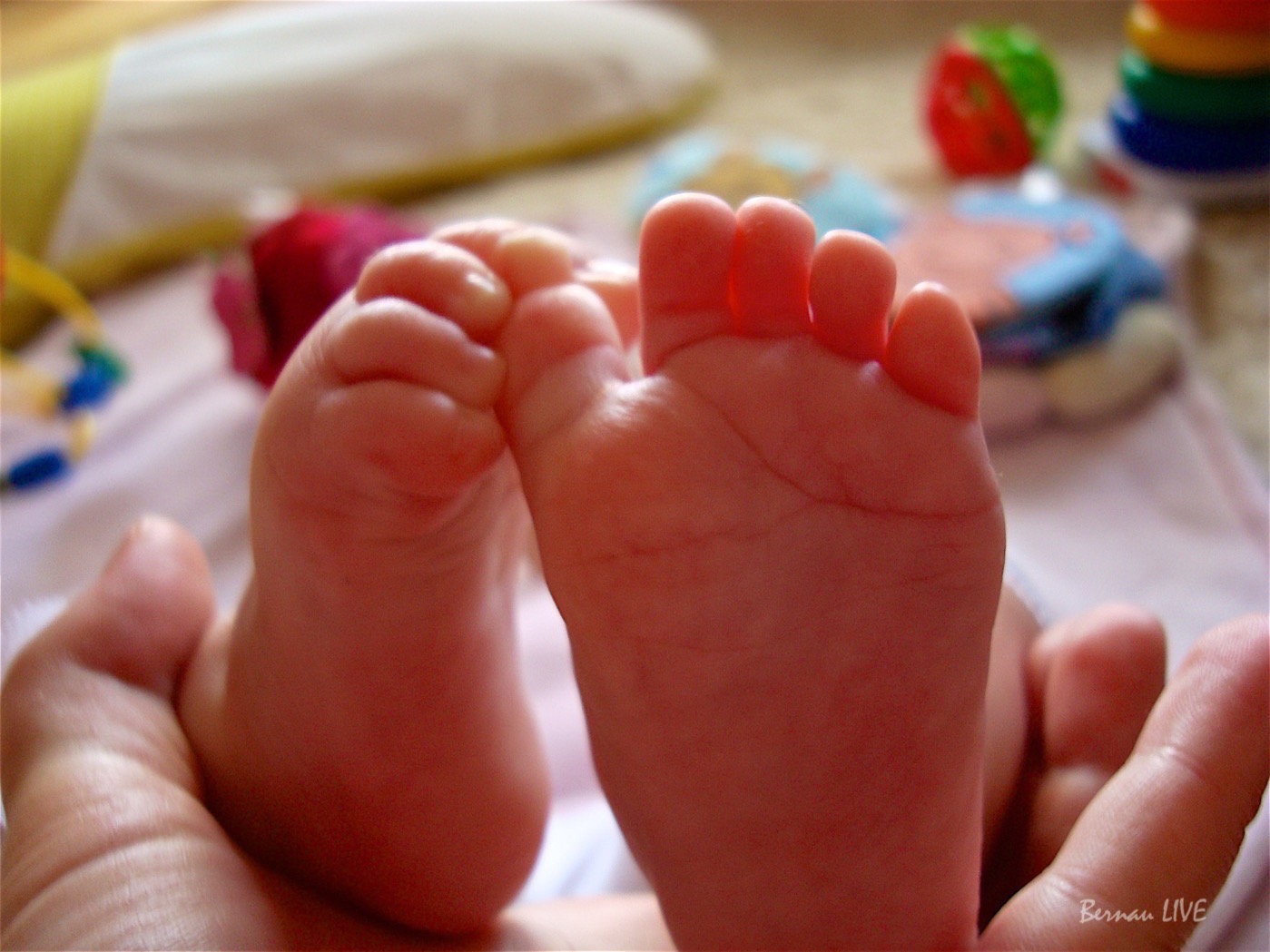 Tag der Familie: 53 Prozent der Eltern haben einen Trauschein 4 Bernau, Barnim, Kind, Familie, Baby, Bernau LIVE