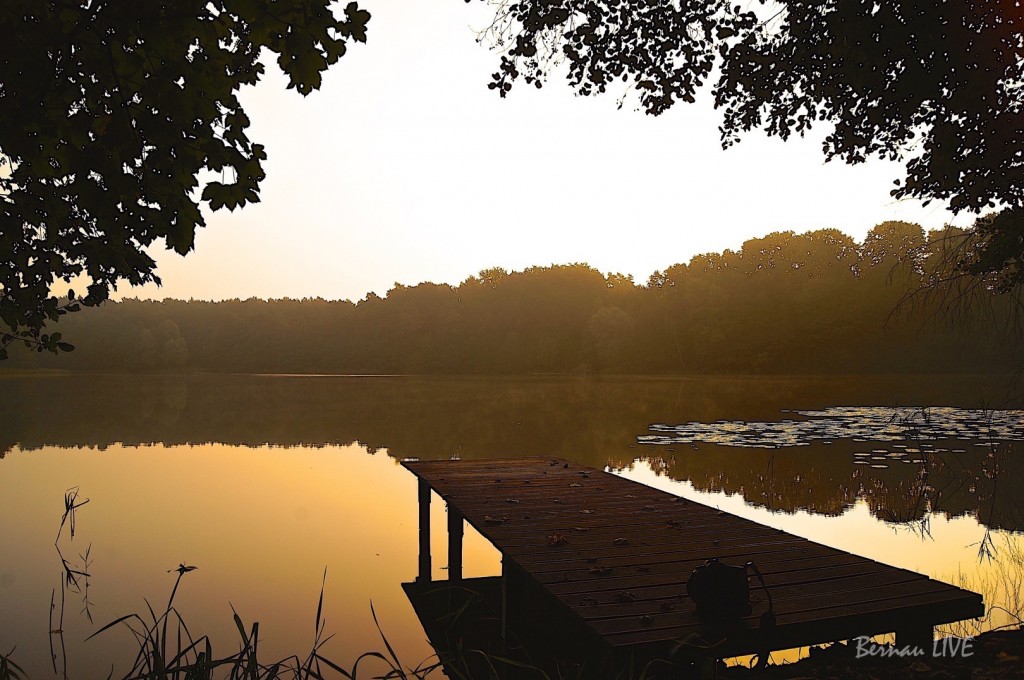 Bernau - Barnim: Guten Morgen und Euch einen sonnigen Dienstag! 18 Bernau, Mechesee, Sommer, guten Morgen, Bernau LIVE, Barnim