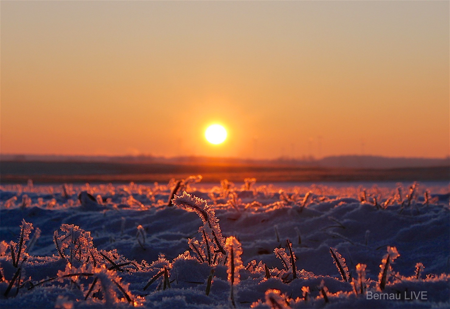 Guten Morgen - die Eisheiligen stehen vor der Tür! 9 Bernau: Eisheilige, Eis, Winter, Sonnenaufgang
