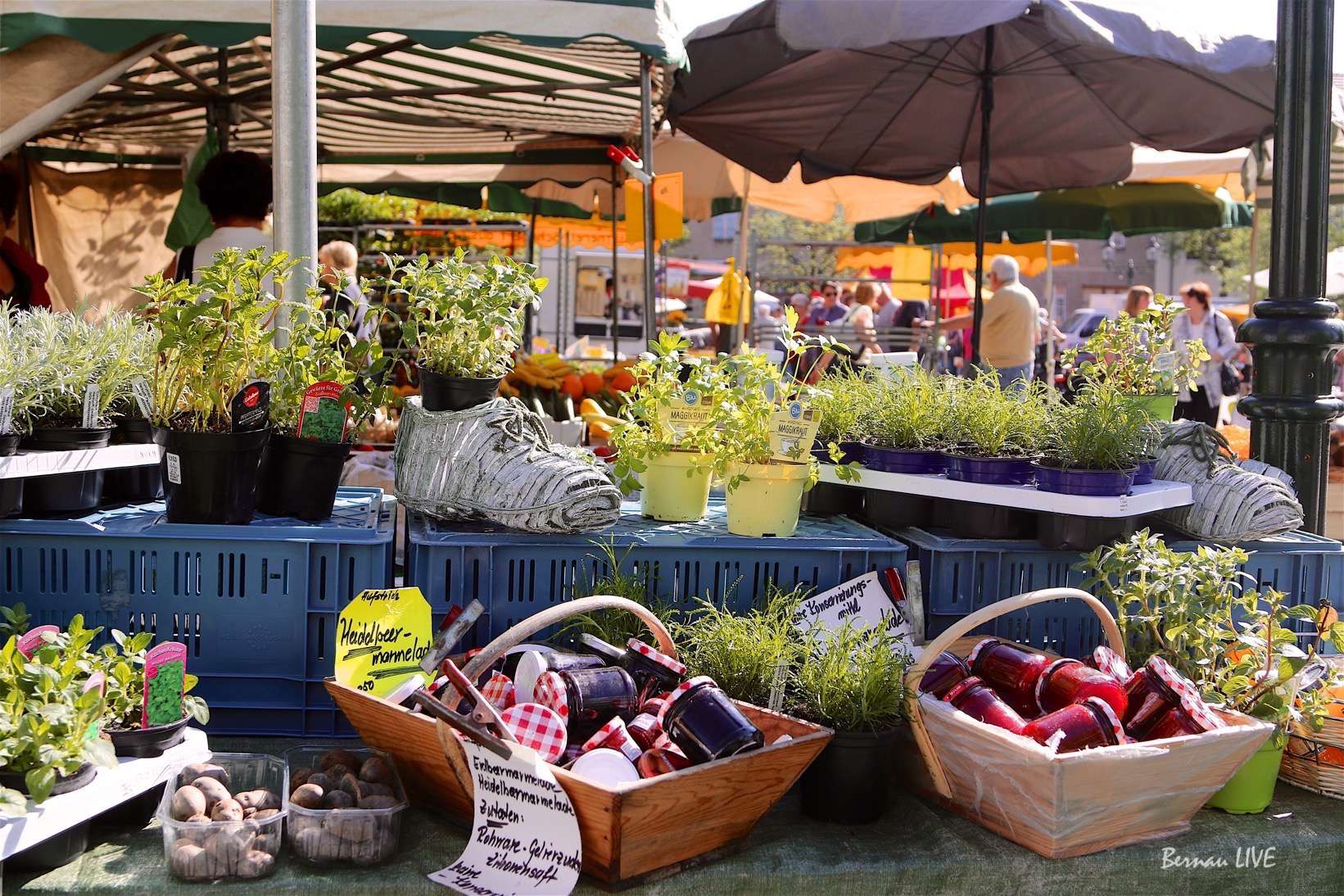 Liebe Grüße vom Wochen-Spezialmarkt in Bernau 11 Wochen-Spezialmarkt in Bernau