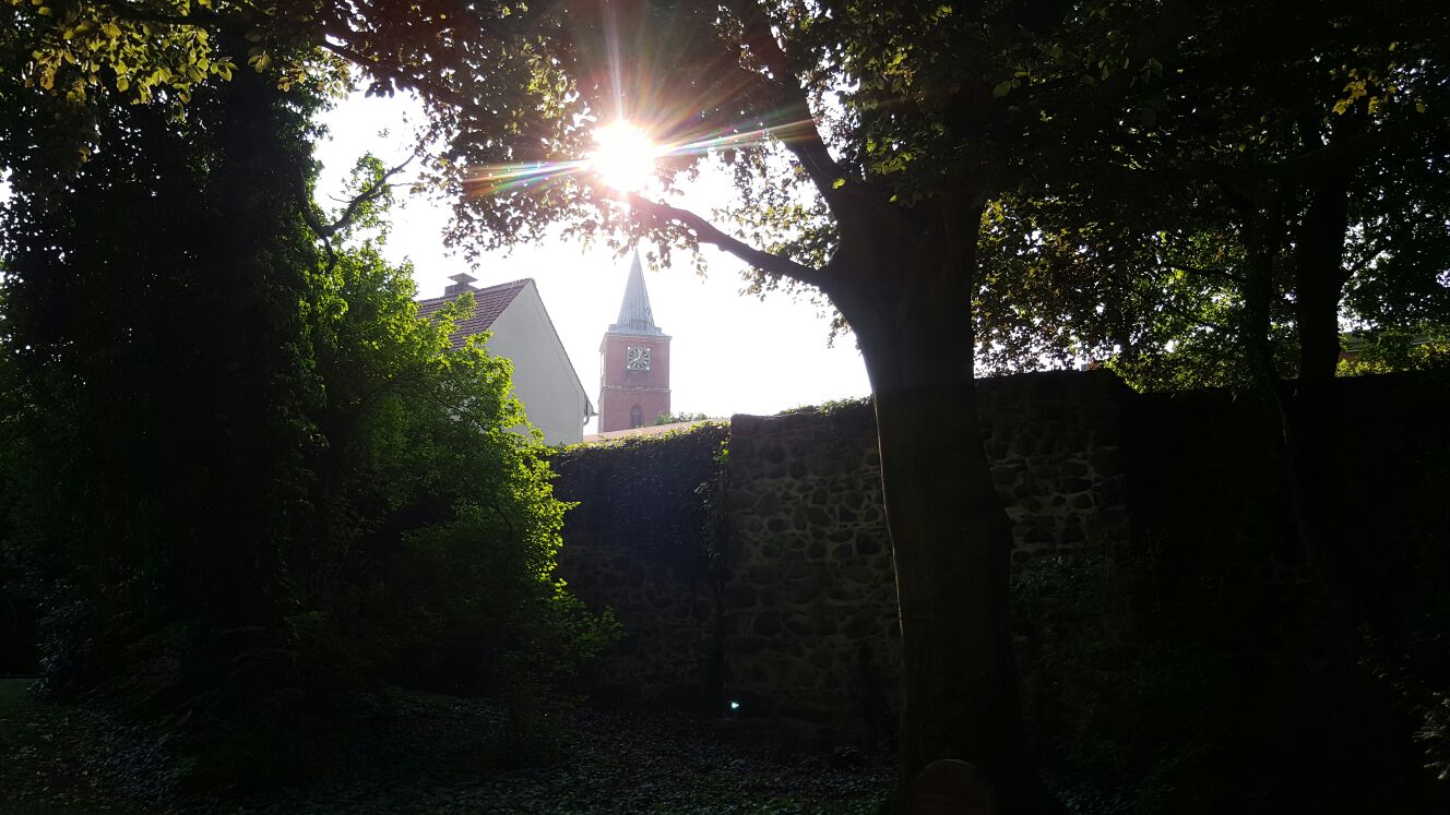 Einen sonnigen Morgen, Bernau und Maggie wird 130 18 Bernau: Stadtpark Bernau mit Kirche und Sonnenaufgang