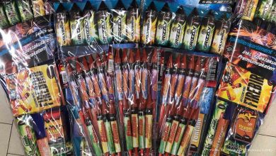 Bernau LIVE - Dein Stadtmagazin für Bernau bei Berlin